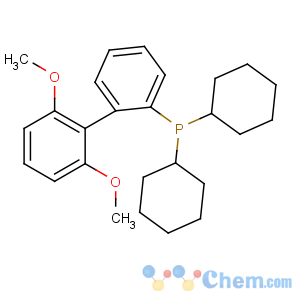 CAS No:657408-07-6 dicyclohexyl-[2-(2,6-dimethoxyphenyl)phenyl]phosphane