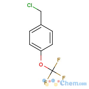 CAS No:65796-00-1 1-(chloromethyl)-4-(trifluoromethoxy)benzene