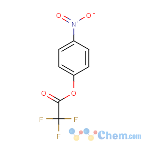 CAS No:658-78-6 (4-nitrophenyl) 2,2,2-trifluoroacetate