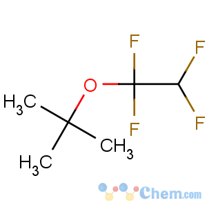 CAS No:659-98-3 t-butyl 1,1,2,2-tetrafluoroethyl ether