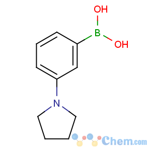 CAS No:659731-18-7 (3-pyrrolidin-1-ylphenyl)boronic acid