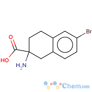 CAS No:659736-91-1 2-amino-1,2,3,4-tetrahydro-6-bromo-2-naphthalene carboxylic acid