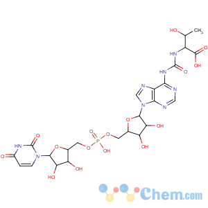 CAS No:66004-53-3 Adenosine, uridylyl-(3'®
