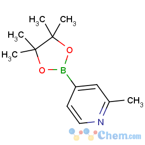 CAS No:660867-80-1 2-methyl-4-(4,4,5,5-tetramethyl-1,3,2-dioxaborolan-2-yl)pyridine