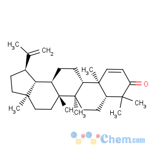 CAS No:6610-55-5 glochidone