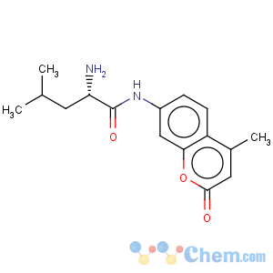 CAS No:66447-31-2 Pentanamide,2-amino-4-methyl-N-(4-methyl-2-oxo-2H-1-benzopyran-7-yl)-, (2S)-