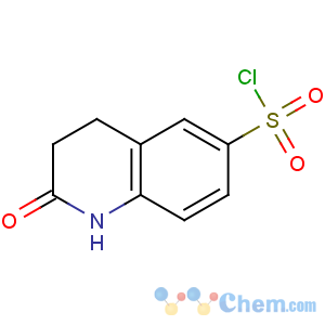 CAS No:66657-42-9 2-oxo-3,4-dihydro-1H-quinoline-6-sulfonyl chloride