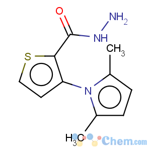 CAS No:666724-62-5 3-(2,5-Dimethyl-1H-pyrrol-1-yl)-2-thiophenecarbohydrazide
