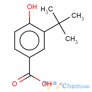 CAS No:66737-88-0 3-Tert-butyl-4-hydroxybenzoic acid