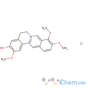 CAS No:6681-15-8 Dibenzo[a,g]quinolizinium,5,6-dihydro-3-hydroxy-2,9,10-trimethoxy-, chloride (1:1)