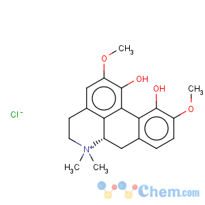 CAS No:6681-18-1 Thalictrine chloride
