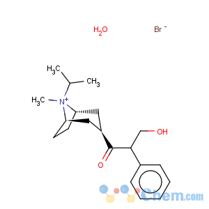 CAS No:66985-17-9 Ipratropium bromide