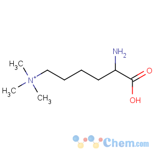 CAS No:66989-56-8 epsilon-Trimethyl-L-lysine