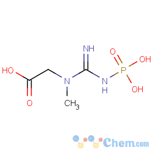 CAS No:67-07-2 N-(Phosphonoamidino)-sarcosine