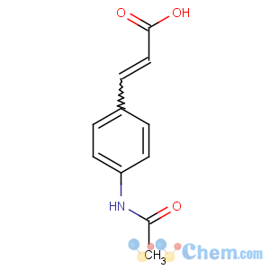 CAS No:67249-02-9 3-(4-acetamidophenyl)prop-2-enoic acid