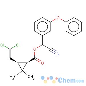 CAS No:67375-30-8 Alpha-cypermethrin