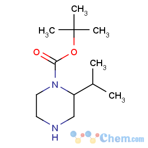 CAS No:674792-04-2 tert-butyl (2R)-2-propan-2-ylpiperazine-1-carboxylate