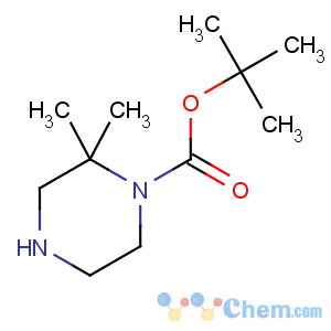CAS No:674792-07-5 1-boc-2,2-dimethyl-piperazine