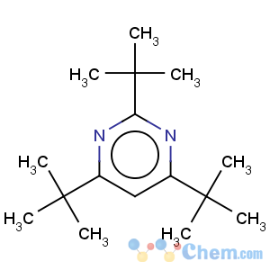 CAS No:67490-21-5 2 4 6-tri-tert-butyl pyrimidine  97