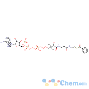 CAS No:6756-74-7 [(2r,3r,4r,5r)-5-(6-aminopurin-9-yl)-2-[[[[3-[2-(2-benzoylsulfanylethylcarbamoyl)ethylcarbamoyl]-3-hydroxy-2,2-dimethyl-propoxy]-hydroxy-phosphoryl]oxy-hydroxy-phosphoryl]oxymethyl]-4-hydroxy-oxolan-3-yl]oxyphosphonic acid