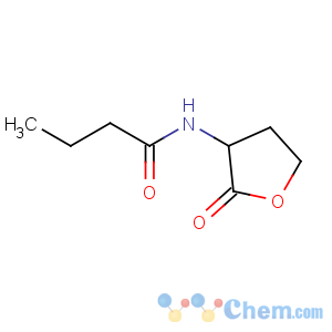 CAS No:67605-85-0 N-[(3S)-2-oxooxolan-3-yl]butanamide