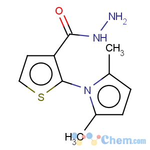 CAS No:678139-53-2 2-(2,5-Dimethyl-1H-1-pyrrolyl)-3-thiophenecarbohydrazide