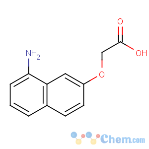 CAS No:6786-83-0 2-(8-aminonaphthalen-2-yl)oxyacetic acid