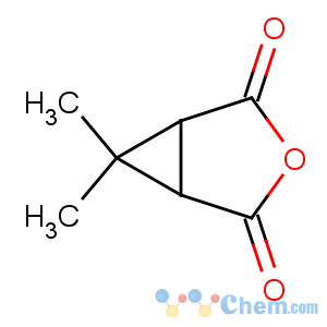 CAS No:67911-21-1 6,6-dimethyl-3-oxabicyclo[3.1.0]hexane-2,4-dione