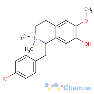 CAS No:6801-40-7 Isoquinolinium,1,2,3,4-tetrahydro-7-hydroxy-1-[(4-hydroxyphenyl)methyl]-6-methoxy-2,2-dimethyl-,(1R)-