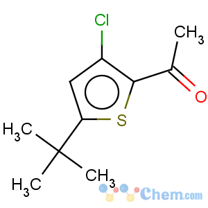 CAS No:680211-01-2 Ethanone,1-[3-chloro-5-(1,1-dimethylethyl)-2-thienyl]-