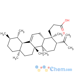 CAS No:6812-81-3 Roburic acid