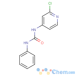 CAS No:68157-60-8 1-(2-chloropyridin-4-yl)-3-phenylurea