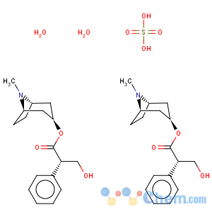 CAS No:6835-16-1 Hyoscyamine sulphate hydrate