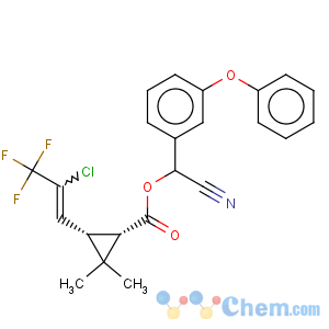 CAS No:68359-37-5 Cyfluthrin