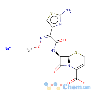 CAS No:68401-82-1 Ceftizoxime sodium