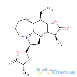 CAS No:6879-01-2 Tuberostemonine