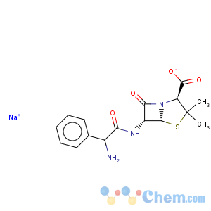 CAS No:69-52-3 Ampicillin sodium