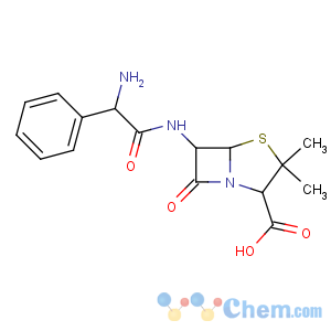 CAS No:69-53-4 (2S,5R,6R)-6-[[(2R)-2-amino-2-phenylacetyl]amino]-3,<br />3-dimethyl-7-oxo-4-thia-1-azabicyclo[3.2.0]heptane-2-carboxylic acid