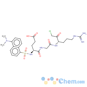 CAS No:69024-84-6 Glycinamide,N-[[5-(dimethylamino)-1-naphthalenyl]sulfonyl]-L-a-glutamyl-N-[(1S)-4-[(aminoiminomethyl)amino]-1-(2-chloroacetyl)butyl]-