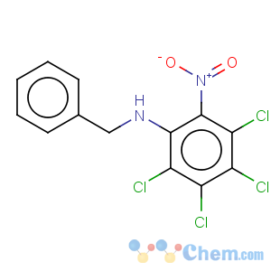 CAS No:69035-11-6 N1-Benzyl-2,3,4,5-tetrachloro-6-nitroaniline