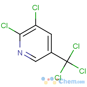 CAS No:69045-83-6 2,3-dichloro-5-(trichloromethyl)pyridine