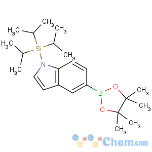 CAS No:690631-97-1 tri(propan-2-yl)-[5-(4,4,5,5-tetramethyl-1,3,<br />2-dioxaborolan-2-yl)indol-1-yl]silane
