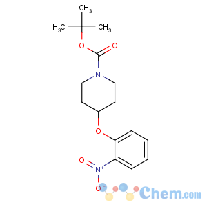 CAS No:690632-03-2 tert-butyl 4-(2-nitrophenoxy)piperidine-1-carboxylate