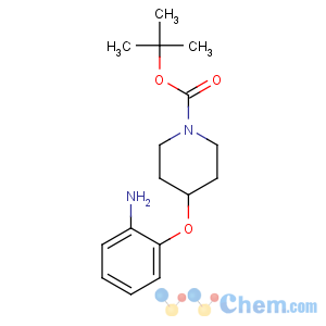 CAS No:690632-14-5 tert-butyl 4-(2-aminophenoxy)piperidine-1-carboxylate