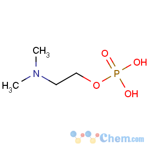 CAS No:6909-62-2 Phosphoric acid,mono[2-(dimethylamino)ethyl] ester