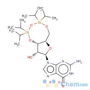 CAS No:69304-44-5 3',5'-O-(1,1,3,3-Tetraisopropyl-1,3-disiloxanediyl)guanosine