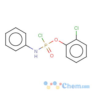 CAS No:69320-80-5 Phosphoramidochloridicacid, phenyl-, 2-chlorophenyl ester (9CI)