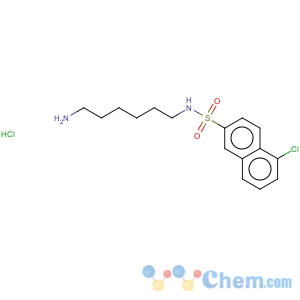 CAS No:69762-85-2 2-Naphthalenesulfonamide,N-(6-aminohexyl)-5-chloro-, hydrochloride (1:1)