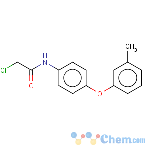 CAS No:69838-52-4 2-chloro-N-[4-(3-methylphenoxy)phenyl]acetamide