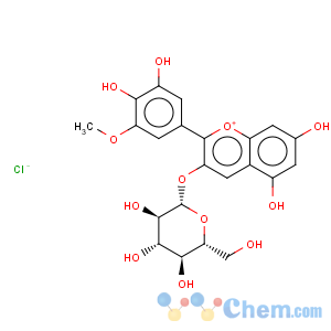 CAS No:6988-81-4 1-Benzopyrylium,2-(3,4-dihydroxy-5-methoxyphenyl)-3-(b-D-glucopyranosyloxy)-5,7-dihydroxy-, chloride (1:1)